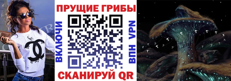 Галлюциногенные грибы Psilocybine cubensis  Чехов 